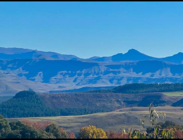 FARM FOR SALE IN UNDERBERG